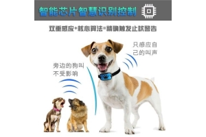 智能宠物电子产品训狗器方案
